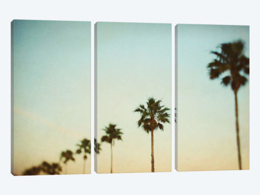 The Palms #3