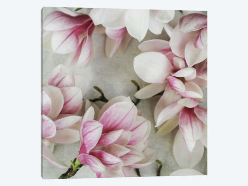 Thoughts Of Spring
