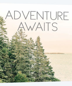 Adventure Awaits Trees
