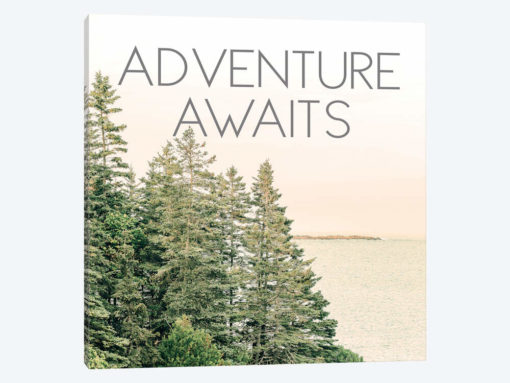 Adventure Awaits Trees