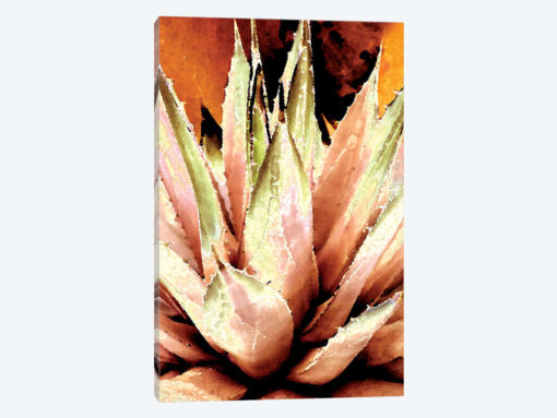 Burnt Agave