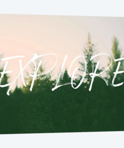 Explore Tree