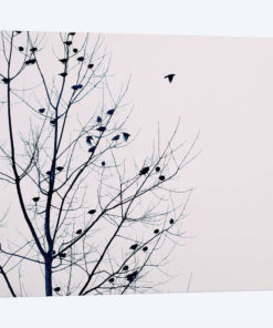 Feathered