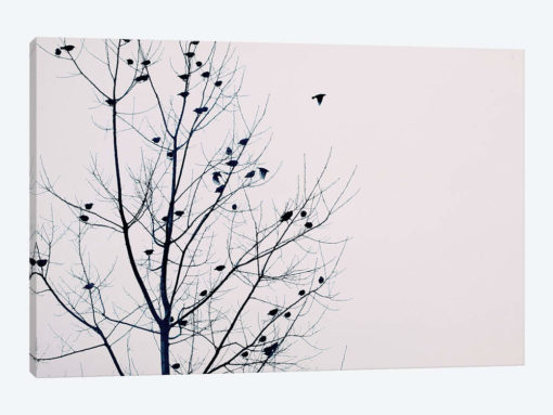 Feathered