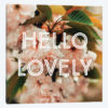Hello Lovely