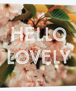 Hello Lovely