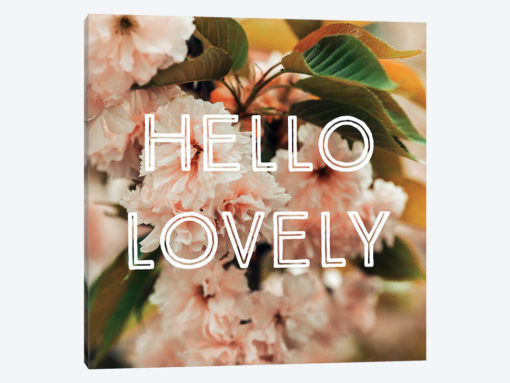 Hello Lovely
