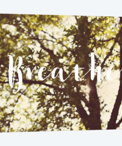 Breathe