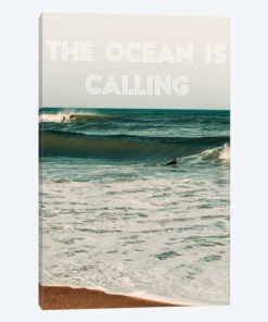 Ocean Calling