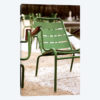 Paris Chairs I
