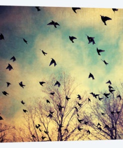 Take Off
