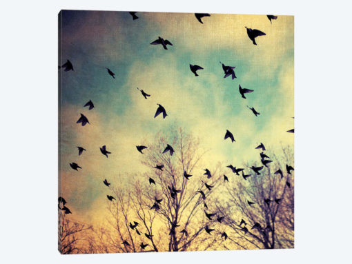 Take Off