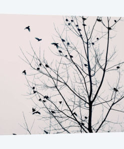 The Friendly Skies