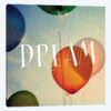 Dream