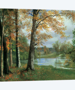 A Quiet Pond