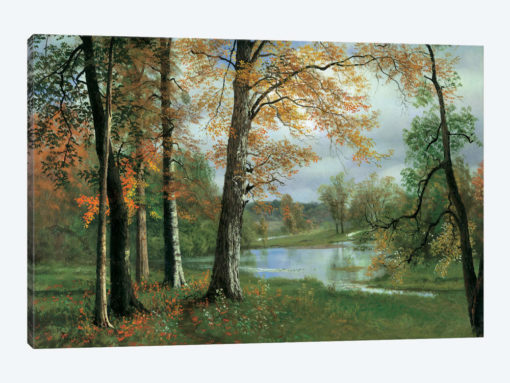 A Quiet Pond