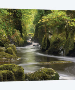The Fairy Glen