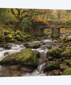 Woodland Bridge