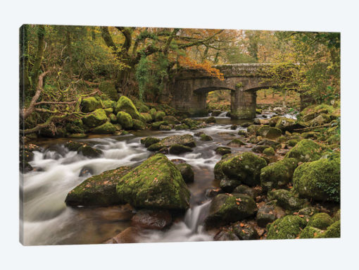 Woodland Bridge