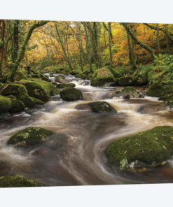 Woodland River