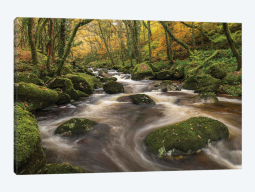 Woodland River