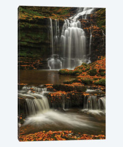 Woodland Waterfall