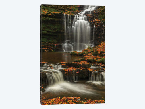 Woodland Waterfall