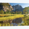 Yosemite Meadow & Falls