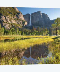 Yosemite Meadow & Falls