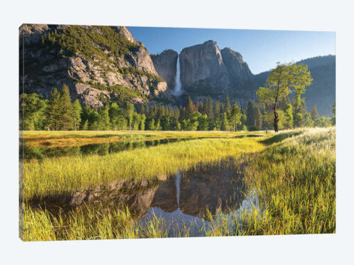 Yosemite Meadow & Falls