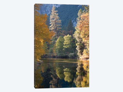 Golden Yosemite
