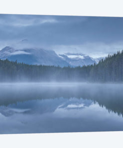 Herbert Lake I