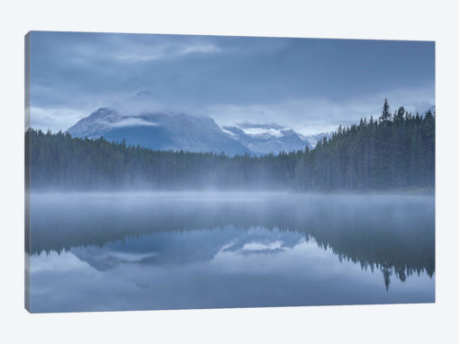 Herbert Lake I