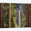 Lower Yosemite Falls