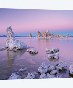 Mono Pinks