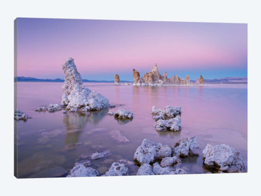 Mono Pinks