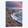 The Pink Coast