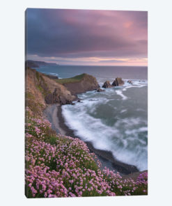 The Pink Coast