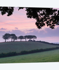 The Seven Sisters