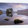 Tranquil Morning