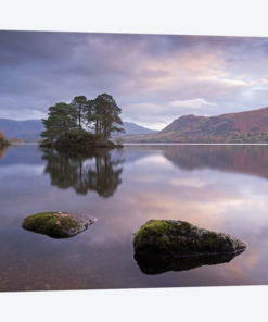 Tranquil Morning