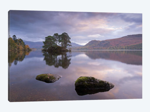 Tranquil Morning