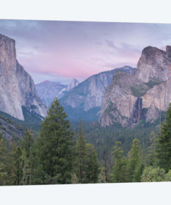 Tunnel View
