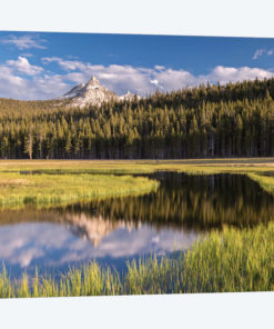Tuolumne Meadows