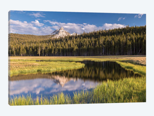 Tuolumne Meadows