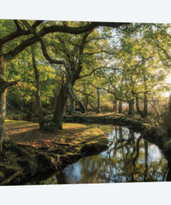 Approaching Lorien