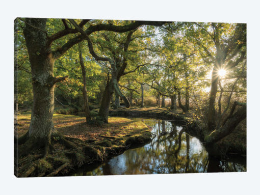 Approaching Lorien