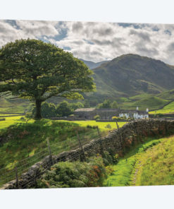 Approaching The Shire