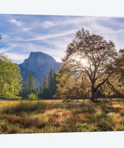 Cooks Meadow & Half Dome