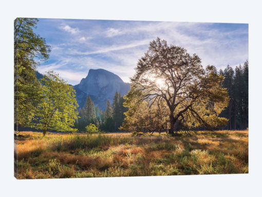 Cooks Meadow & Half Dome
